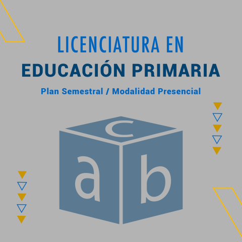 Educación Primaria